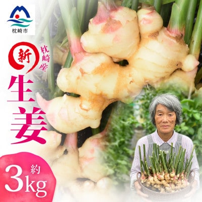 【先行受付】枕崎産 新生姜 約3kg(国産・農家直送)【2026年9月上旬より順次発送】 A3-38