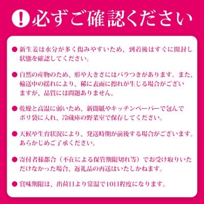 【先行受付】枕崎産 新生姜 約3kg(国産・農家直送)【2026年9月上旬より順次発送】 A3-38