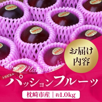 【期間限定】トロピカルパッションフルーツ 約1.0kg A3-394