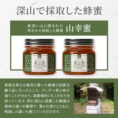 【数量限定】国産 生はちみつ 日本みつばち【非加熱・無添加の生蜂蜜】300g×2 B3-115