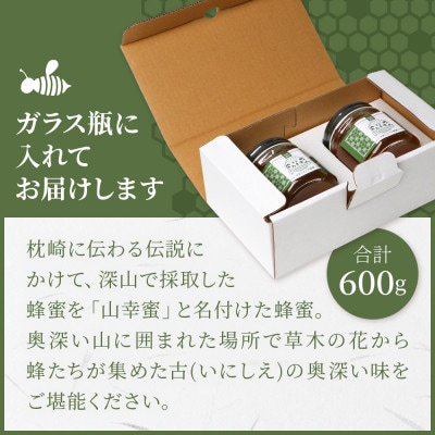 【数量限定】国産 生はちみつ 日本みつばち【非加熱・無添加の生蜂蜜】300g×2 B3-115