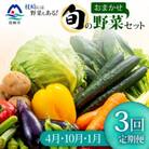 【発送月固定定期便】枕崎の野菜!!定番・旬の野菜お任せセット(4・10・1月)DD0-0007全3回
