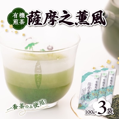 一番茶のみ使用!有機栽培緑茶“薩摩之薫風”【100g×3袋】 A3-272