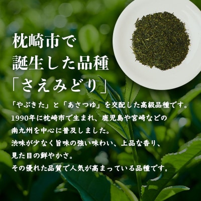 1番茶(新芽)のみを使用 有機煎茶【さえみどり】KAORU園 (100g×2本) A6-118