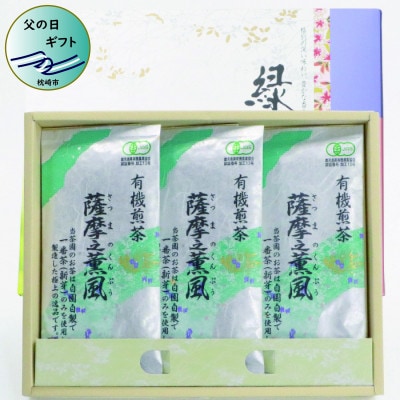 【父の日】一番茶のみ使用!有機栽培緑茶“薩摩之薫風”【100g×3袋】 A3-272F
