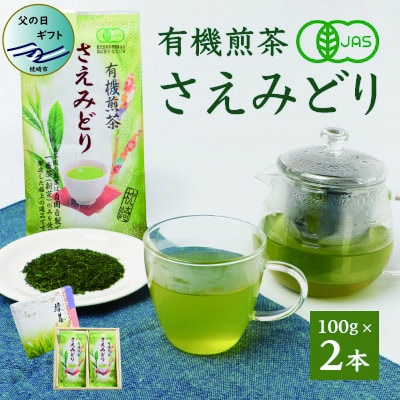 【父の日】1番茶のみを使用 有機煎茶【さえみどり】KAORU園 (100g×2本) A6-118F