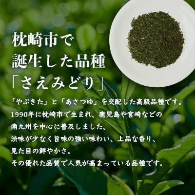 【のし付き・御歳暮】1番茶のみを使用 有機煎茶【さえみどり】 (100g×2本) A6-118S