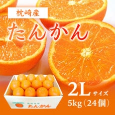 【2Lサイズ 】南国特産もぎたて たんかん 5kg【先行受付】2月下旬より順次発送 MM-2010