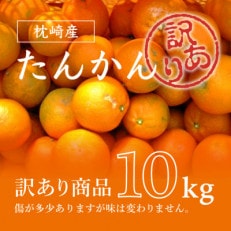 【訳あり】南国特産もぎたてフルーツ たんかん10kg【先行受付】2月下旬より順次発送 MM-2011