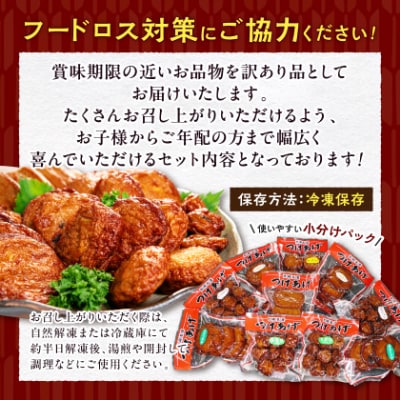 〔訳あり〕さつま揚げ(つけあげ) 真空パックセット 小分け A3-311