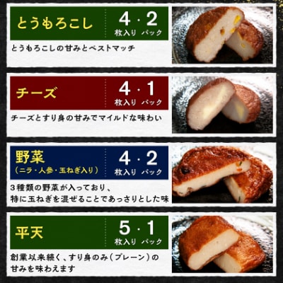 〔訳あり〕さつま揚げ(つけあげ) 真空パックセット 小分け A3-311
