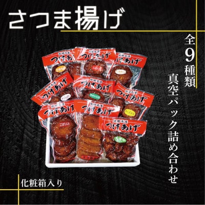 真空パック さつま揚げ(つけあげ)全9種詰合せ 化粧箱入り A8-91