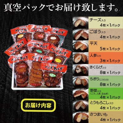 真空パック さつま揚げ(つけあげ)全9種詰合せ 化粧箱入り A8-91