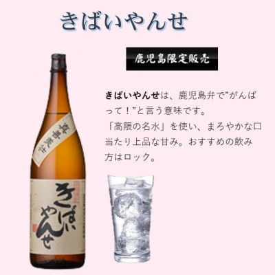 鹿児島限定販売の焼酎 3銘柄 1800ml×3本 B5-3