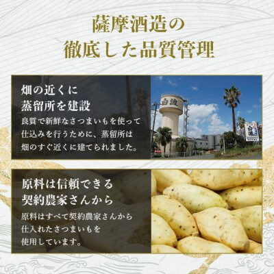 【本格焼酎】きばいやんせ【鹿児島限定】 900ml×6本 B5-5