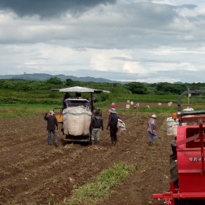 【のし付き・お歳暮】さつま白波・黒白波 25度【1800ml】×3パックずつ 計6パック C7-8S