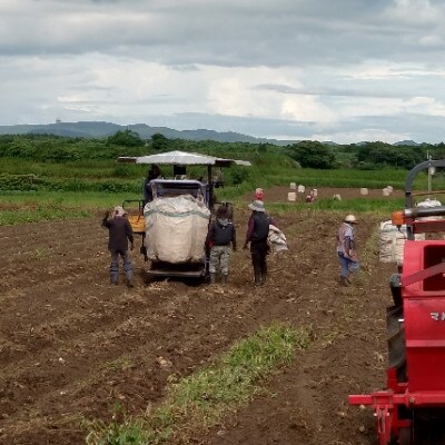 【本格焼酎】南之方　1800mlパック×6パック D5-1