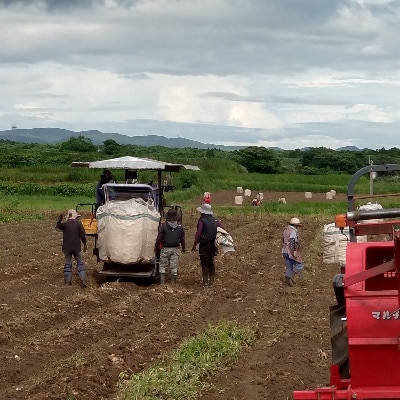 【本格焼酎】南之方　1800mlパック×5パック C8-1