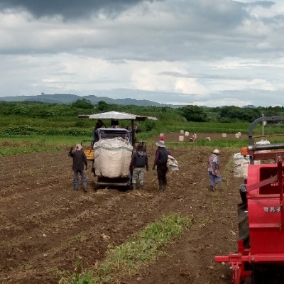 【本格焼酎】南之方　1800mlパック×2パック A8-125