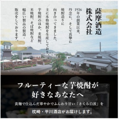 【毎月定期便】薩摩酒造の定番の焼酎【さくら白波】1800ml×2本セット! DD0-0023全3回