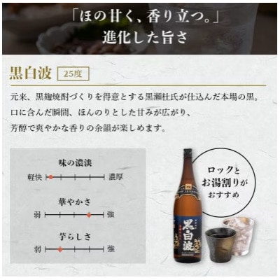 【毎月定期便】薩摩酒造の定番の焼酎【黒白波】1800ml×2本セット! HH0-0008全6回