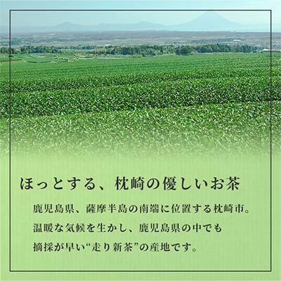 【お歳暮・のし付き】「天然玉露あさつゆ」緑茶ティーバッグ(5g×25P)×6袋 A8-86S