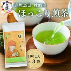 【お歳暮・のし付き】(一番茶のみ使用)ほっこり煎茶 100g&times;3袋 AA-669S