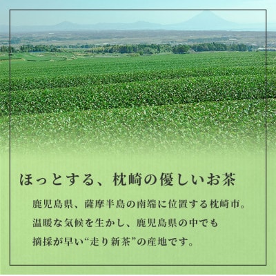 【父の日】「天然玉露あさつゆ」緑茶ティーバッグ(5g×25P)×4袋 A4-1F