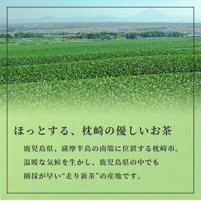 【父の日】「天然玉露あさつゆ」緑茶ティーバッグ(5g×25P)×6袋 A8-86F