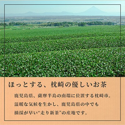 【のし付き・お歳暮】一番茶のみ使用　ほっこり煎茶 100g×3袋 A5-1S