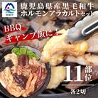 鹿児島県産黒毛和牛 ホルモン アラカルトセット 食べ比べ11部位 焼肉屋店主こだわり A3-203