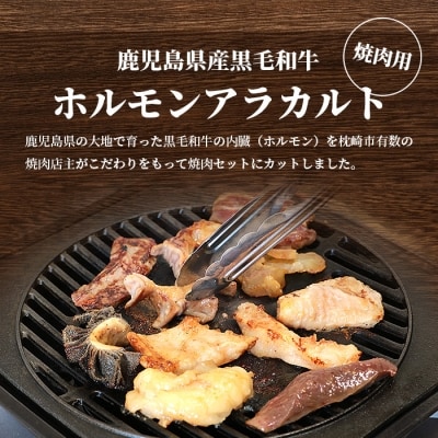 鹿児島県産黒毛和牛 ホルモン アラカルトセット 食べ比べ11部位 焼肉屋店主こだわり A3-203