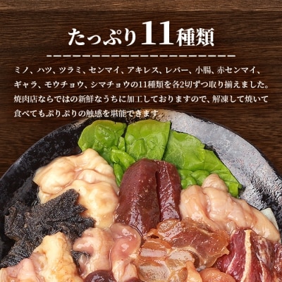 鹿児島県産黒毛和牛 ホルモン アラカルトセット 食べ比べ11部位 焼肉屋店主こだわり A3-203