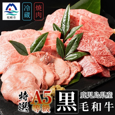 鹿児島県産黒毛和牛 A5等級特選焼肉セット食べ比べ4種盛 ロース カルビ ハラミ タン C0-29