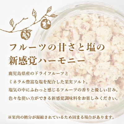 ドライフルーツソルト 3種セット【りんご・たんかん・ブルーベリー】果実塩 fラボ A6-78