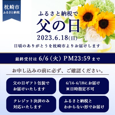 【父の日】無添加ドライフルーツ詰合せ【6種類】2023/6/14～18にお届けfラボA3-161M