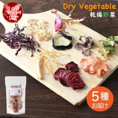 【母の日】常備できる野菜 ドライベジタブル 5種セット 鹿児島県産 A3-160M