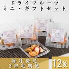 【毎月定期便】枕崎産ドライフルーツミニギフトセット12袋 感謝御礼 お礼 贈り物LL-6044全3回