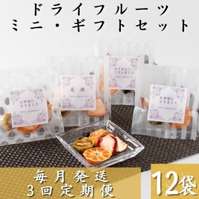 【毎月定期便】枕崎産ドライフルーツミニギフトセット12袋 感謝御礼 お礼 贈り物LL-6044全3回