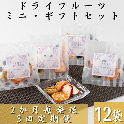 【2ヵ月毎定期便】枕崎産ドライフルーツミニギフト12袋 感謝御礼 お礼 贈り物LL-6043全3回
