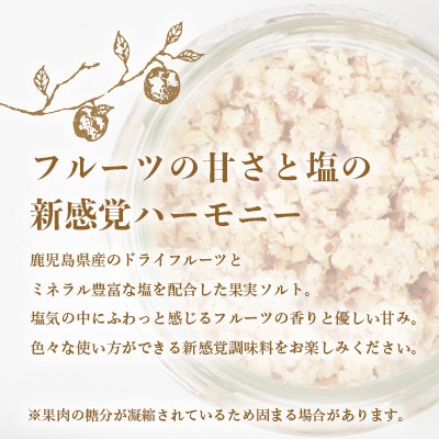 【2ヵ月毎定期便】ドライフルーツソルト3種【りんご・たんかん・ブルーベリー】DD0-0003全3回