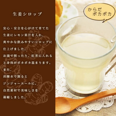 【手作り生姜シロップ(180ml×3瓶)無添加・栽培期間中 農薬不使用・新生姜 A3-34F