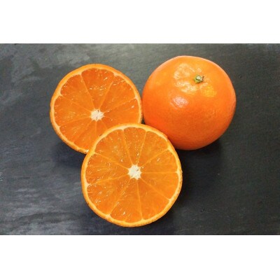 【訳あり】鹿児島県枕崎市産　濃厚完熟たんかん5kg A8-6