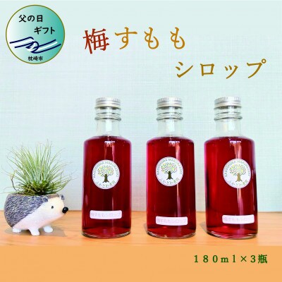 【父の日】ふかざわ農園の梅すももシロップ　A3-28F