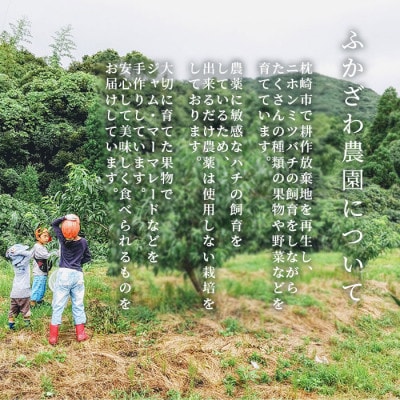 【のし付き・お中元】ふかざわ農園の梅シロップ ・手づくり シロップ ジュース 希釈用 A3-27C