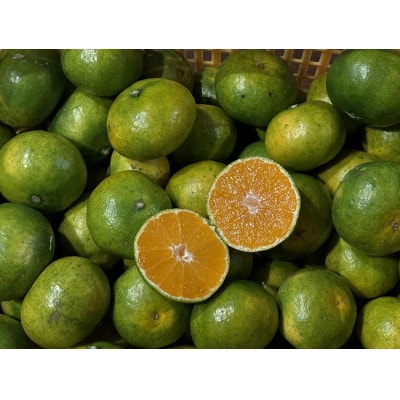 南国グアバとすっきり柑橘の爽やかカクテルシロップ 【グアバ柑橘シロップ】 A3-385