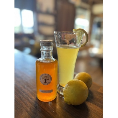 果実から生まれた身体に優しいコーラ【柑橘クラフトコーラ】計540ml A3-387