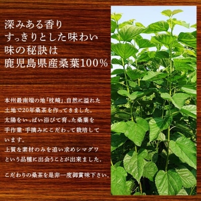 【父の日】鹿児島県産桑100% くわ茶 お父様へ健康の贈り物 A3-255M
