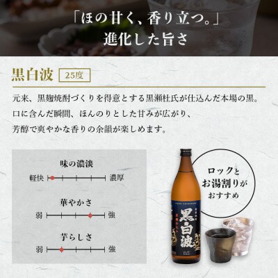 【毎月定期便】【黒白波】25度【900ml】×2パック セット　SF376F0全6回