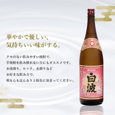 【毎月定期便】枕崎の定番焼酎【さくら白波】1800ml×2本セット DD0-0013全3回